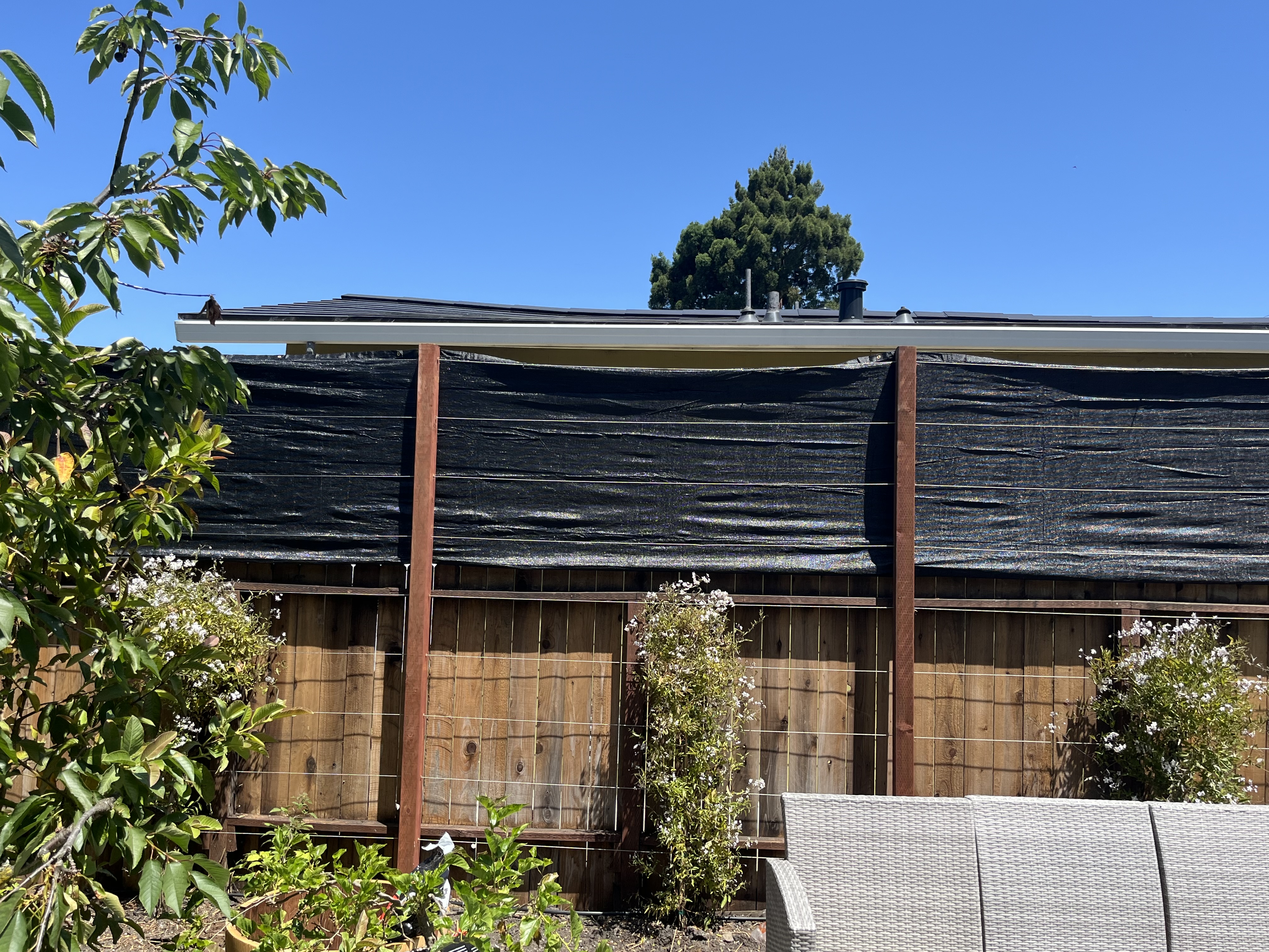 Cedar fence with a pergola shade structure